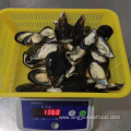 Frozen Half Shell Mussels